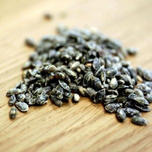 Pumpkin seeds roasted & salted